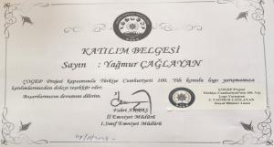 Türkiye Cumhuriyetinin Yüzüncü Yılı Konulu Logo Yarışması Manisa İl İkinciliği Belgesi